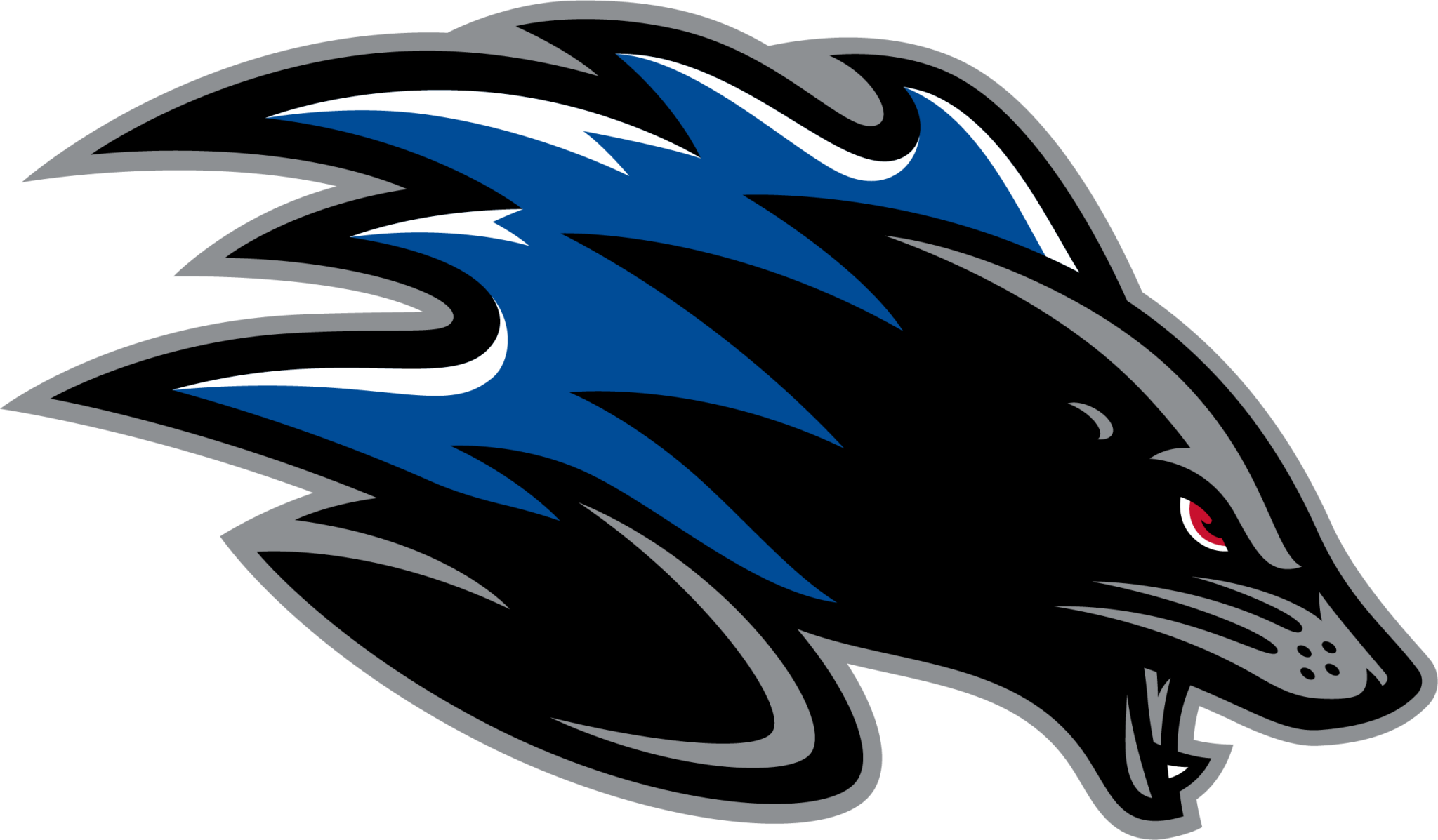 Saint John Sea Dogs